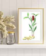 Bioartsense Aquarelle Bild 13