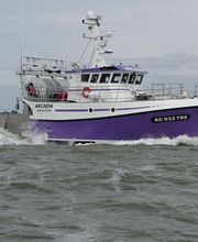 Plasti Pêche image 4