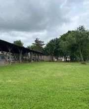 Märkischer Hof Schöbendorf Bild 4