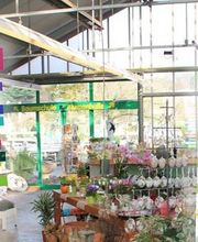 Engelhardt Baumschule Bild 2