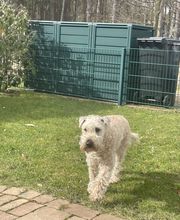 SH-Immo & partner Bild 12