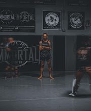 Immortal Martial Arts Center image 7
