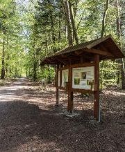 FriedWald Buxtehude Bild 8