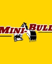 Mini Bull image 1