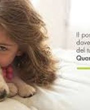 WashDog Bellinzona Bild 12