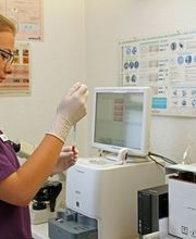 Kleintier- und Pferdepraxis im Dorf AG Bild 5