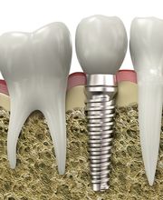 Jacqueline Rodríguez imagen 4