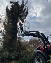 Grünlandpflege M.O Bild 12