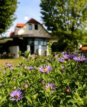 Erntekranzbaude Bild 9