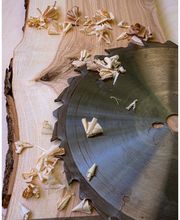 Ludwig-Geißler-Schule Bild 4