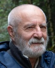 Toninato Gérard image 1
