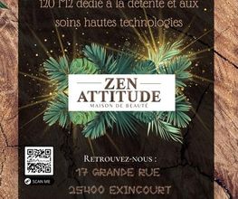 Zen Attitude image 1