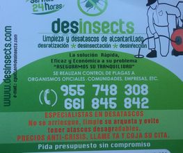 desinsect-01.jpg