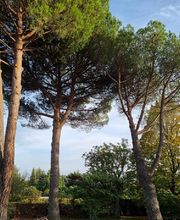 THILL SEBASTIEN image 4