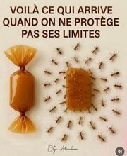 Quesnel David image 2