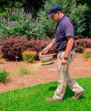 Harris Pest Control, Inc. image 4