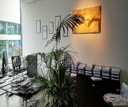 Gallery Cliente