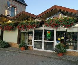 Blumen Haider Bild 12