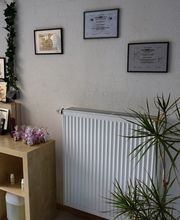 Bine's Hundestyling Bild 1