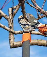 Garten La Verde AG Bild 7