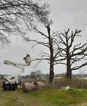 Pallaro Guy image 12