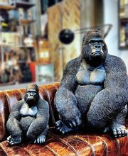 Espace des Particuliers image 1