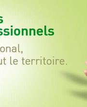 Végétal Fleurs Et Jardins image 3