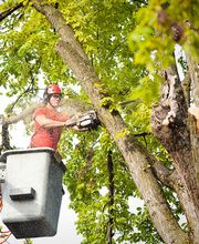 Pünter Garten GmbH Bild 1