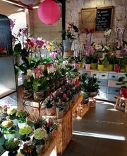 Espace Fleurs image 17