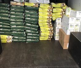 Happy dog - Happy Cat image 4