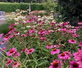 Vogel Gartenbau AG Bild 6