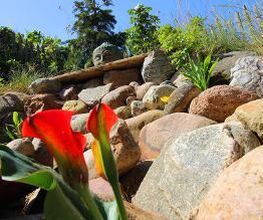 Große Wilde Betten Bild 11