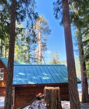 Southern Oregon Tree Care LLC image 20