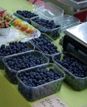 Association Les Amis du Pont du Saillant image 1