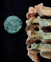 IN SITU SCP imagen 15