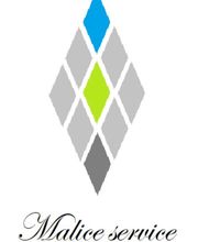 Malice Service image 7