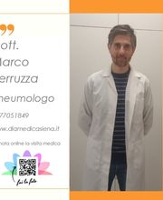 Diamedica immagine 14