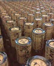 BIOCAVE Marc Güntert Bild 7