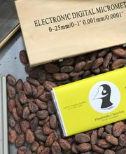 Blumen Oase GmbH Bild 6