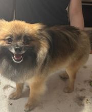 Anna der Salon mit Herz und Verstand Bild 3