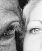 Pferd statt Ego Bild 1