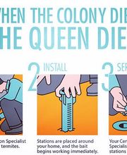 SafeHaven Pest Control image 16