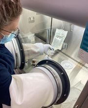 The DRIPBaR Melbourne, FL