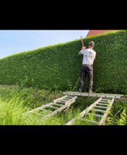 Baumdienst Sieber Bild 2