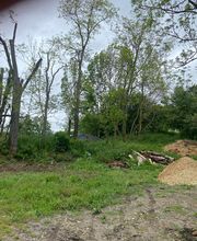 En Vie...d'Arbres image 1