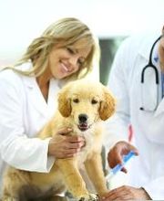 Centro Médico Veterinario Los Álamos imagen 1