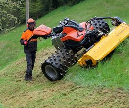 Weigold Landschaftspflege Bild 2