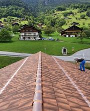 DemousseToit Bild 11