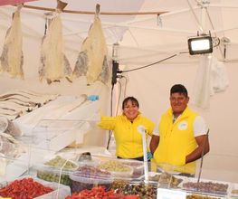 Gallery Cliente