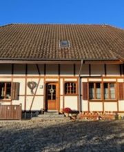 Roth + Wyss Malerei GmbH Bild 8